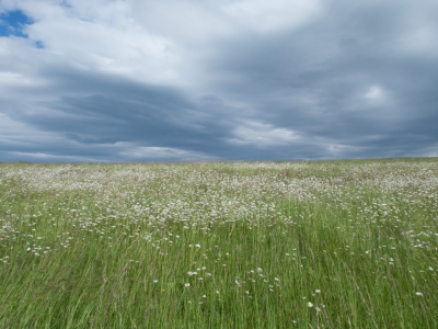 <i class='fa fa-user'></i>&nbsp;susan meijnders&nbsp;|  Wind en wolken&nbsp; <i class='fa fa-eye'>&nbsp;134</i> &nbsp; <i class='fa fa-comment-o'>&nbsp;9</i>
