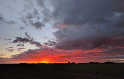 <i class='fa fa-user'></i>&nbsp;jaapoosterhuis&nbsp;|  Hornhuizen opkomende zon&nbsp; <i class='fa fa-eye'>&nbsp;168</i> &nbsp;<i class='fa fa-thumbs-up'>&nbsp;1</i> &nbsp; <i class='fa fa-comment-o'>&nbsp;6</i>