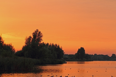 <i class='fa fa-user'></i>&nbsp;Cor&nbsp;|  Zonsondergang&nbsp; <i class='fa fa-eye'>&nbsp;181</i> &nbsp;<i class='fa fa-thumbs-up'>&nbsp;8</i> &nbsp; <i class='fa fa-comment-o'>&nbsp;9</i>