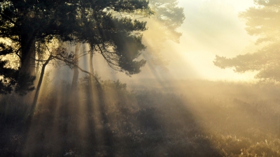 <i class='fa fa-user'></i>&nbsp;Julia.V&nbsp;|  Mooi licht&nbsp; <i class='fa fa-eye'>&nbsp;200</i> &nbsp;<i class='fa fa-thumbs-up'>&nbsp;2</i> &nbsp; <i class='fa fa-comment-o'>&nbsp;5</i>