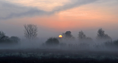 <i class='fa fa-user'></i>&nbsp;Julia.V&nbsp;|  Mooie morgensfeer&nbsp; <i class='fa fa-eye'>&nbsp;214</i> &nbsp;<i class='fa fa-thumbs-up'>&nbsp;12</i> &nbsp; <i class='fa fa-comment-o'>&nbsp;8</i>