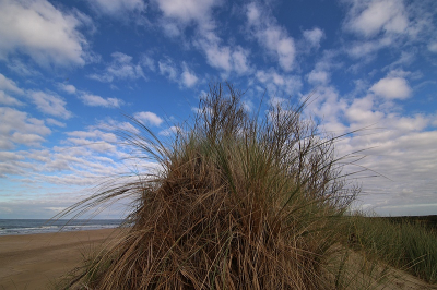 <i class='fa fa-user'></i>&nbsp;frbeuming&nbsp;|  Landschap aan zee&nbsp; <i class='fa fa-eye'>&nbsp;79</i> &nbsp; <i class='fa fa-comment-o'>&nbsp;1</i>