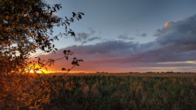 <i class='fa fa-user'></i>&nbsp;davidoosterhuis&nbsp;|  Zonsopgang Noord-Groningen&nbsp; <i class='fa fa-eye'>&nbsp;85</i> &nbsp;<i class='fa fa-thumbs-up'>&nbsp;1</i> &nbsp; <i class='fa fa-comment-o'>&nbsp;1</i>