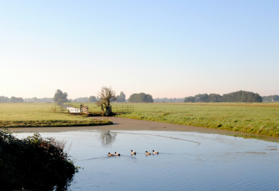 <i class='fa fa-user'></i>&nbsp;kooyammers&nbsp;|  Polder Schoonouwen&nbsp; <i class='fa fa-eye'>&nbsp;78</i> &nbsp; <i class='fa fa-comment-o'>&nbsp;0</i>