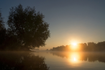 <i class='fa fa-user'></i>&nbsp;Schollevaer&nbsp;|  Zonsopkomst Biesbosch&nbsp; <i class='fa fa-eye'>&nbsp;108</i> &nbsp; <i class='fa fa-comment-o'>&nbsp;2</i>