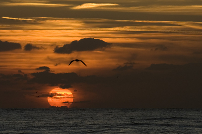 Zonsondergang
