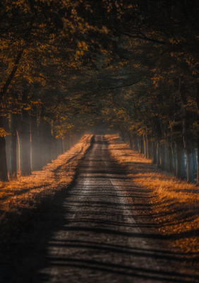 <i class='fa fa-user'></i>&nbsp;Niels Prinsen&nbsp;|  Herfstlaan&nbsp; <i class='fa fa-eye'>&nbsp;174</i> &nbsp;<i class='fa fa-thumbs-up'>&nbsp;1</i> &nbsp; <i class='fa fa-comment-o'>&nbsp;4</i>