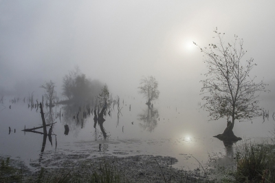 Ik was er weer, op n van mijn favoriete plekjes,  want er was ochtendmist voorspeld.
Het duurde een poos voordat de zon er een beetje doorheen wist te komen, maar toen werd het mooier en mooier.