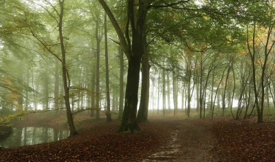 <i class='fa fa-user'></i>&nbsp;Ben Aalders&nbsp;|  Mist op Den Alerdinck&nbsp; <i class='fa fa-eye'>&nbsp;102</i> &nbsp; <i class='fa fa-comment-o'>&nbsp;7</i>