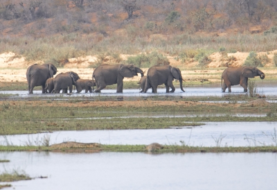 <i class='fa fa-user'></i>&nbsp;momo&nbsp;|  Afrikaanse Olifant&nbsp; <i class='fa fa-eye'>&nbsp;130</i> &nbsp; <i class='fa fa-comment-o'>&nbsp;1</i>