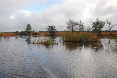<i class='fa fa-user'></i>&nbsp;kooyammers&nbsp;|  Varen in de Weerribben&nbsp; <i class='fa fa-eye'>&nbsp;101</i> &nbsp; <i class='fa fa-comment-o'>&nbsp;3</i>