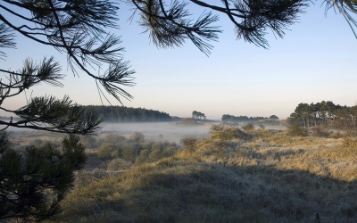 <i class='fa fa-user'></i>&nbsp;Eef Kieft&nbsp;|  Duinlandschap&nbsp; <i class='fa fa-eye'>&nbsp;124</i> &nbsp; <i class='fa fa-comment-o'>&nbsp;1</i>