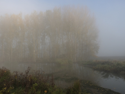 <i class='fa fa-user'></i>&nbsp;Gert-Jan&nbsp;|  Biesbosch&nbsp; <i class='fa fa-eye'>&nbsp;114</i> &nbsp; <i class='fa fa-comment-o'>&nbsp;4</i>