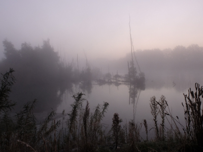 <i class='fa fa-user'></i>&nbsp;Gert-Jan&nbsp;|  Biesbosch&nbsp; <i class='fa fa-eye'>&nbsp;94</i> &nbsp; <i class='fa fa-comment-o'>&nbsp;5</i>