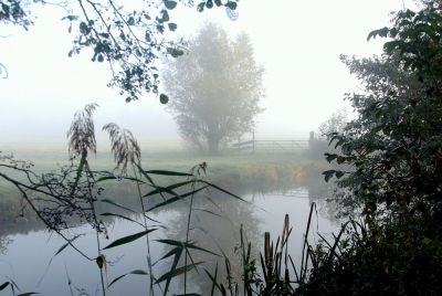 <i class='fa fa-user'></i>&nbsp;kooyammers&nbsp;|  Mistige Polder&nbsp; <i class='fa fa-eye'>&nbsp;95</i> &nbsp; <i class='fa fa-comment-o'>&nbsp;0</i>