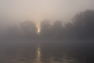 <i class='fa fa-user'></i>&nbsp;Schollevaer&nbsp;|  Brabantse Biesbosch (De Dood)&nbsp; <i class='fa fa-eye'>&nbsp;109</i> &nbsp; <i class='fa fa-comment-o'>&nbsp;3</i>