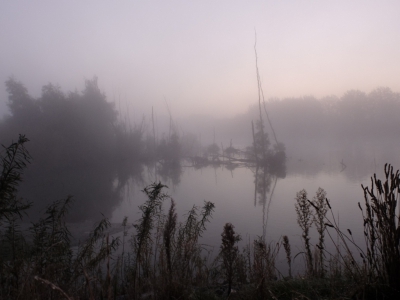 vandaag met de vogelwerkgroep naar de Biesbosch geweest