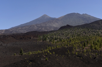 <i class='fa fa-user'></i>&nbsp;Gerard Visser&nbsp;|  El Teide NP&nbsp; <i class='fa fa-eye'>&nbsp;97</i> &nbsp; <i class='fa fa-comment-o'>&nbsp;6</i>