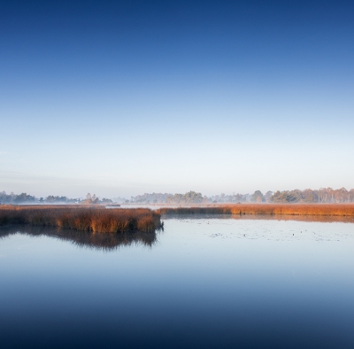<i class='fa fa-user'></i>&nbsp;Ruud Peters&nbsp;|  Duikersven Kampina&nbsp; <i class='fa fa-eye'>&nbsp;119</i> &nbsp; <i class='fa fa-comment-o'>&nbsp;7</i>