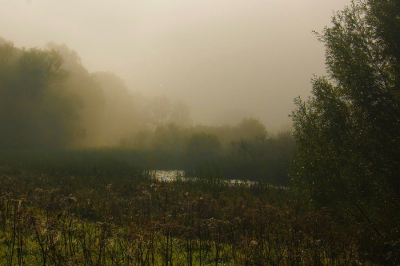 <i class='fa fa-user'></i>&nbsp;Bert Veerman&nbsp;|  "Op een vroege morgen "&nbsp; <i class='fa fa-eye'>&nbsp;101</i> &nbsp; <i class='fa fa-comment-o'>&nbsp;1</i>