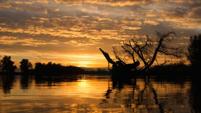 <i class='fa fa-user'></i>&nbsp;Schollevaer&nbsp;|  Zonsondergang op de Ruigt&nbsp; <i class='fa fa-eye'>&nbsp;144</i> &nbsp;<i class='fa fa-thumbs-up'>&nbsp;3</i> &nbsp; <i class='fa fa-comment-o'>&nbsp;5</i>