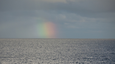 <i class='fa fa-user'></i>&nbsp;Marie-Jos� Boon&nbsp;|  Regenboog&nbsp; <i class='fa fa-eye'>&nbsp;146</i> &nbsp;<i class='fa fa-thumbs-up'>&nbsp;1</i> &nbsp; <i class='fa fa-comment-o'>&nbsp;1</i>