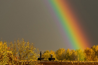 <i class='fa fa-user'></i>&nbsp;Gert Hartman&nbsp;|  De regenboog&nbsp; <i class='fa fa-eye'>&nbsp;144</i> &nbsp; <i class='fa fa-comment-o'>&nbsp;2</i>
