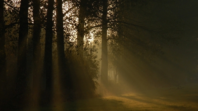<i class='fa fa-user'></i>&nbsp;Bert Veerman&nbsp;|  " Herfst licht "&nbsp; <i class='fa fa-eye'>&nbsp;168</i> &nbsp; <i class='fa fa-comment-o'>&nbsp;5</i>
