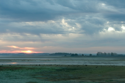 <i class='fa fa-user'></i>&nbsp;Ties Niehof&nbsp;|  Zonsopkomst Lac du Der&nbsp; <i class='fa fa-eye'>&nbsp;112</i> &nbsp; <i class='fa fa-comment-o'>&nbsp;4</i>