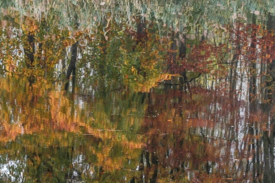 <i class='fa fa-user'></i>&nbsp;plaatjesmaker&nbsp;|  Weerspiegeling van het herstbos&nbsp; <i class='fa fa-eye'>&nbsp;154</i> &nbsp; <i class='fa fa-comment-o'>&nbsp;2</i>