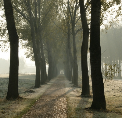 <i class='fa fa-user'></i>&nbsp;B.M.Schouten-Ruis&nbsp;|  Mistig landschap&nbsp; <i class='fa fa-eye'>&nbsp;156</i> &nbsp;<i class='fa fa-thumbs-up'>&nbsp;6</i> &nbsp; <i class='fa fa-comment-o'>&nbsp;8</i>