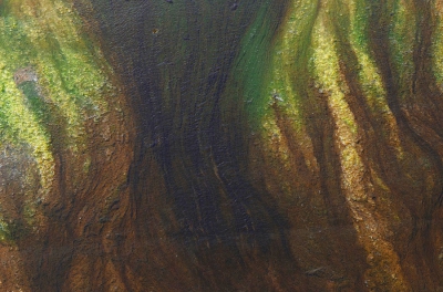 <i class='fa fa-user'></i>&nbsp;Bert Veerman&nbsp;|  " Stroming "&nbsp; <i class='fa fa-eye'>&nbsp;253</i> &nbsp;<i class='fa fa-thumbs-up'>&nbsp;7</i> &nbsp; <i class='fa fa-comment-o'>&nbsp;16</i>
