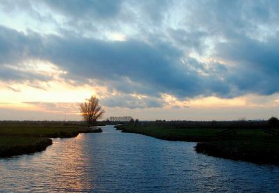 <i class='fa fa-user'></i>&nbsp;kooyammers&nbsp;|  Wetering Polder Bergambacht&nbsp; <i class='fa fa-eye'>&nbsp;75</i> &nbsp; <i class='fa fa-comment-o'>&nbsp;1</i>