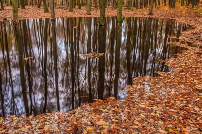 <i class='fa fa-user'></i>&nbsp;Timo de Kruif&nbsp;|  Herfst&nbsp; <i class='fa fa-eye'>&nbsp;123</i> &nbsp; <i class='fa fa-comment-o'>&nbsp;2</i>