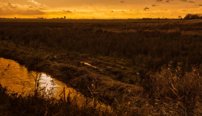 <i class='fa fa-user'></i>&nbsp;plaatjesmaker&nbsp;|  Arkemheense polder in de schemering&nbsp; <i class='fa fa-eye'>&nbsp;87</i> &nbsp; <i class='fa fa-comment-o'>&nbsp;0</i>