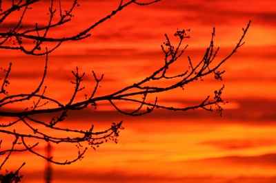 <i class='fa fa-user'></i>&nbsp;jan rienk&nbsp;|  Zonsondergang&nbsp; <i class='fa fa-eye'>&nbsp;118</i> &nbsp; <i class='fa fa-comment-o'>&nbsp;3</i>