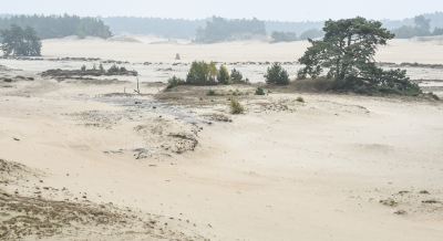 <i class='fa fa-user'></i>&nbsp;plaatjesmaker&nbsp;|  Lichte mist op het Hulshorsterzand&nbsp; <i class='fa fa-eye'>&nbsp;170</i> &nbsp; <i class='fa fa-comment-o'>&nbsp;2</i>