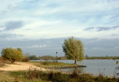 <i class='fa fa-user'></i>&nbsp;kooyammers&nbsp;|  Rivierduin op De Bol&nbsp; <i class='fa fa-eye'>&nbsp;126</i> &nbsp; <i class='fa fa-comment-o'>&nbsp;1</i>