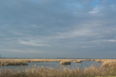 <i class='fa fa-user'></i>&nbsp;Bert Veerman&nbsp;|  Oude Rijnstrangen&nbsp; <i class='fa fa-eye'>&nbsp;111</i> &nbsp; <i class='fa fa-comment-o'>&nbsp;2</i>