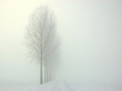 <i class='fa fa-user'></i>&nbsp;Bert Veerman&nbsp;|  "" Winter in optima forma ""&nbsp; <i class='fa fa-eye'>&nbsp;363</i> &nbsp;<i class='fa fa-thumbs-up'>&nbsp;18</i> &nbsp; <i class='fa fa-comment-o'>&nbsp;21</i>