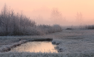 <i class='fa fa-user'></i>&nbsp;nelappelmelk&nbsp;|  Mooie winterse morgen&nbsp; <i class='fa fa-eye'>&nbsp;159</i> &nbsp; <i class='fa fa-comment-o'>&nbsp;10</i>