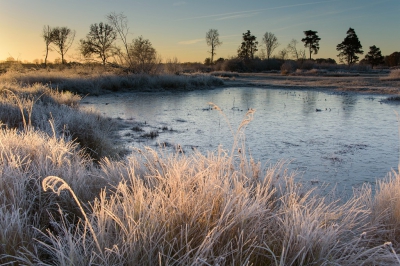 <i class='fa fa-user'></i>&nbsp;Jody Z&nbsp;|  Empese en Tondense heide&nbsp; <i class='fa fa-eye'>&nbsp;193</i> &nbsp;<i class='fa fa-thumbs-up'>&nbsp;5</i> &nbsp; <i class='fa fa-comment-o'>&nbsp;7</i>