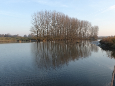<i class='fa fa-user'></i>&nbsp;Gert-Jan&nbsp;|  Biesbosch&nbsp; <i class='fa fa-eye'>&nbsp;105</i> &nbsp; <i class='fa fa-comment-o'>&nbsp;3</i>