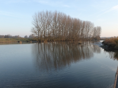 nu al weer bijna een week gelden ben ik op een mistige morgen naar de Biesbosch geweest en heb me daar met veel plezier op het fotograferen gestort , en heb daar deze foto kunnen maken.