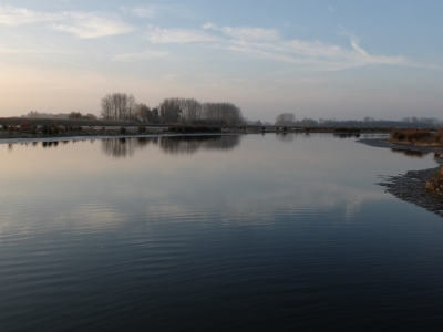 Nu alweer bijna een week gelden met en paar natuurfotofanaten de Biesbosh in geweest. Daar sta je dan met je digicompact terwijl anderen met heftig digitaal geschut voor de dag komen. Fotografie is leuk , ook al is mijn uitrusting niet  de top.