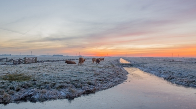 <i class='fa fa-user'></i>&nbsp;Christina&nbsp;|  Zonsopkomst in de polder&nbsp; <i class='fa fa-eye'>&nbsp;143</i> &nbsp; <i class='fa fa-comment-o'>&nbsp;5</i>