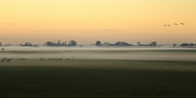 <i class='fa fa-user'></i>&nbsp;Ben Aalders&nbsp;|  Grondmist&nbsp; <i class='fa fa-eye'>&nbsp;103</i> &nbsp; <i class='fa fa-comment-o'>&nbsp;6</i>