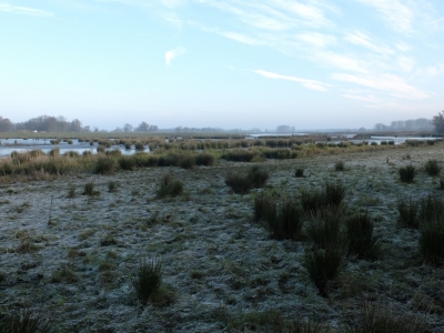 Vandaag op de kop af is alweer een week geleden, dat ik met de natuurfotogroep van de fotoclub de Biesbosch in ben geweest. Veel water gezien, maar ook strakblauwe luchten. dit alles met ligt vriezend weer