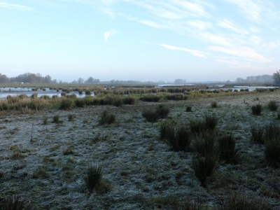 Vandaag op de kop af is alweer een week geleden, dat ik met de natuurfotogroep van de fotoclub de Biesbosch in ben geweest. Veel water gezien, maar ook strakblauwe luchten. dit alles met ligt vriezend weer