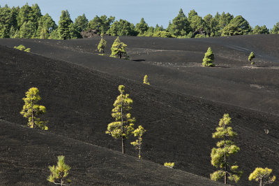 <i class='fa fa-user'></i>&nbsp;nelappelmelk&nbsp;|  Lava Landschap&nbsp; <i class='fa fa-eye'>&nbsp;176</i> &nbsp; <i class='fa fa-comment-o'>&nbsp;3</i>